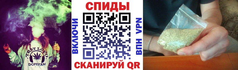 мориарти телеграм  даркнет сайт  Приморско-Ахтарск  БУТИРАТ буратино 