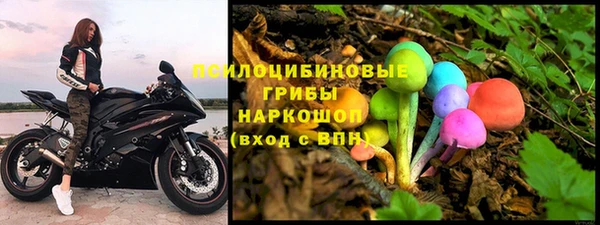 гашиш Новодвинск