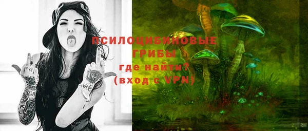 дживик Новокубанск