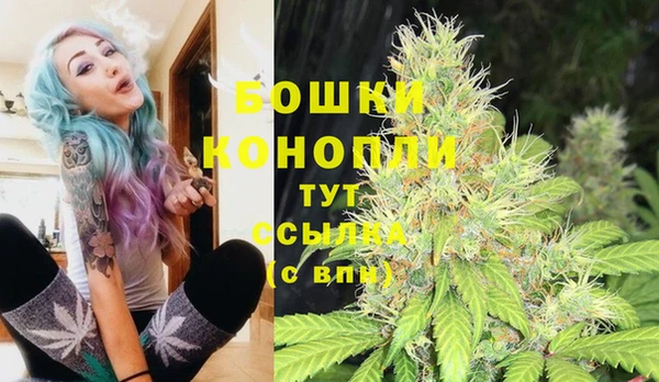сатива Заречный