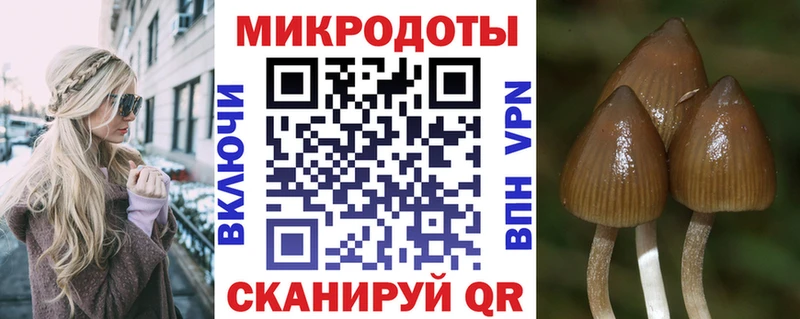 Галлюциногенные грибы MAGIC MUSHROOMS  как найти закладки  Приморско-Ахтарск 