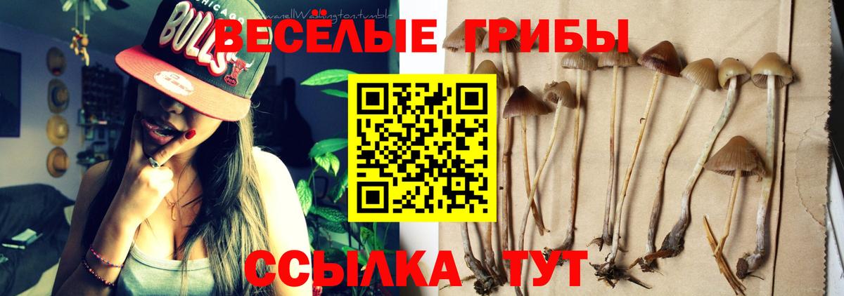 Галлюциногенные грибы ЛСД  Вход с VPN  Приморско-Ахтарск 